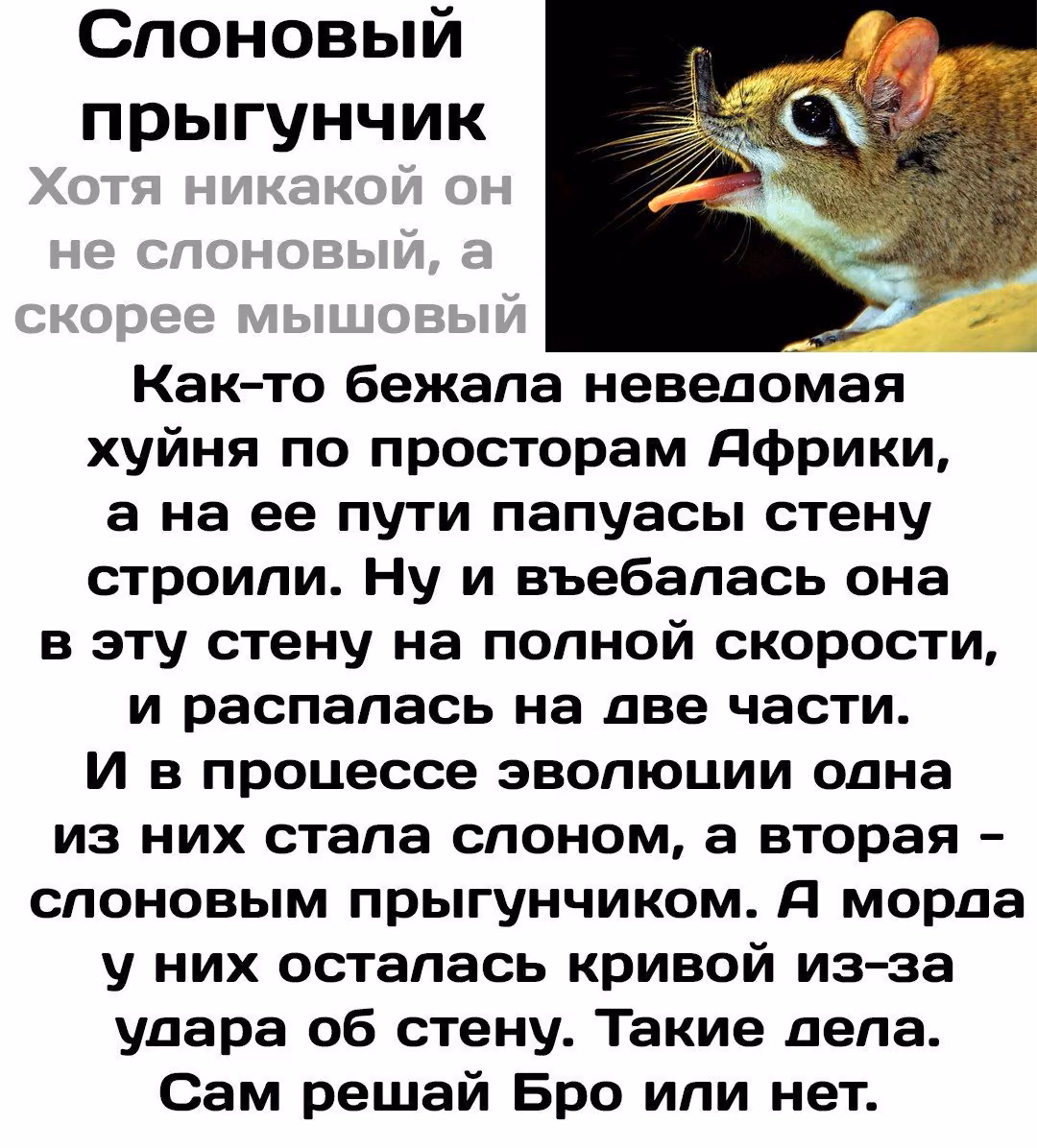 5d580ae5e9f7b2b9a08c5eda06c3d32a.jpg
