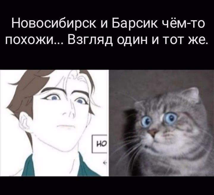5d5db8eaac09e8e302de607f4f1450b3.jpg