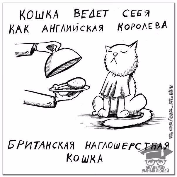 5d723df54a13ab53bd20526d81698561.avif