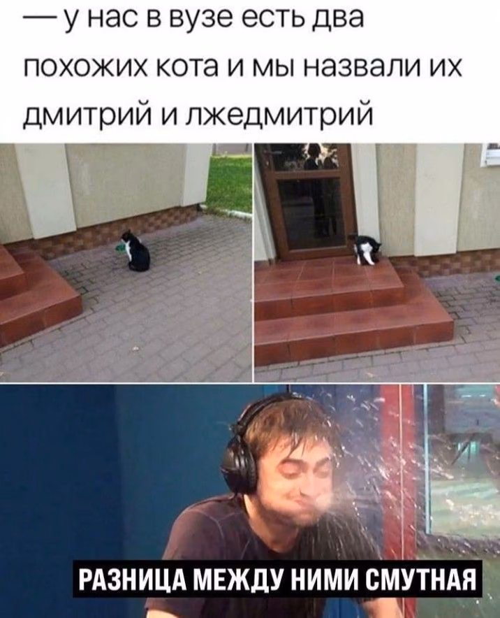 5d748baeab2b6985a26a4aad969f9f1a.avif