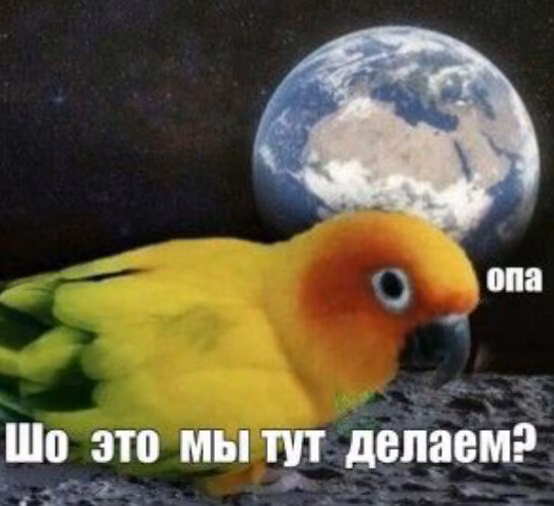 5d74d5268aa6245e22662cba0257208f.jpg