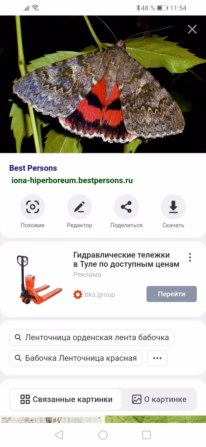 5d81f9ad6be5e205037cbd7fa13d37a2.avif