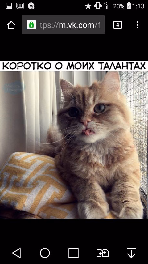 5dab274ca92120eafd243c9c637d693c.jpg