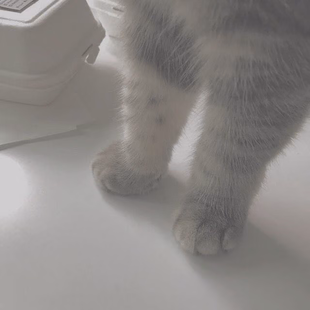 5db18d4a53b9e62dca1ce3ee1ff4910c.jpg