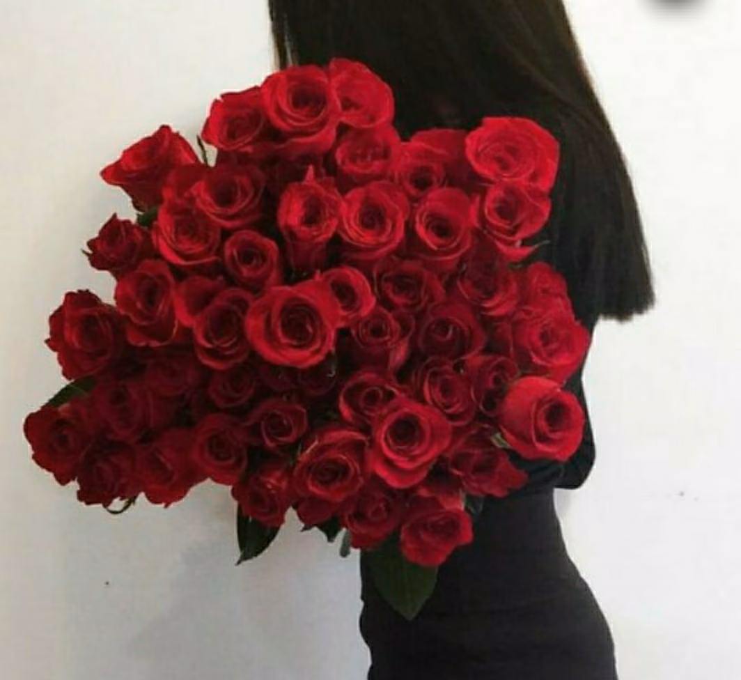 5db3af8f2c71cf48db31b43b24d10448.avif