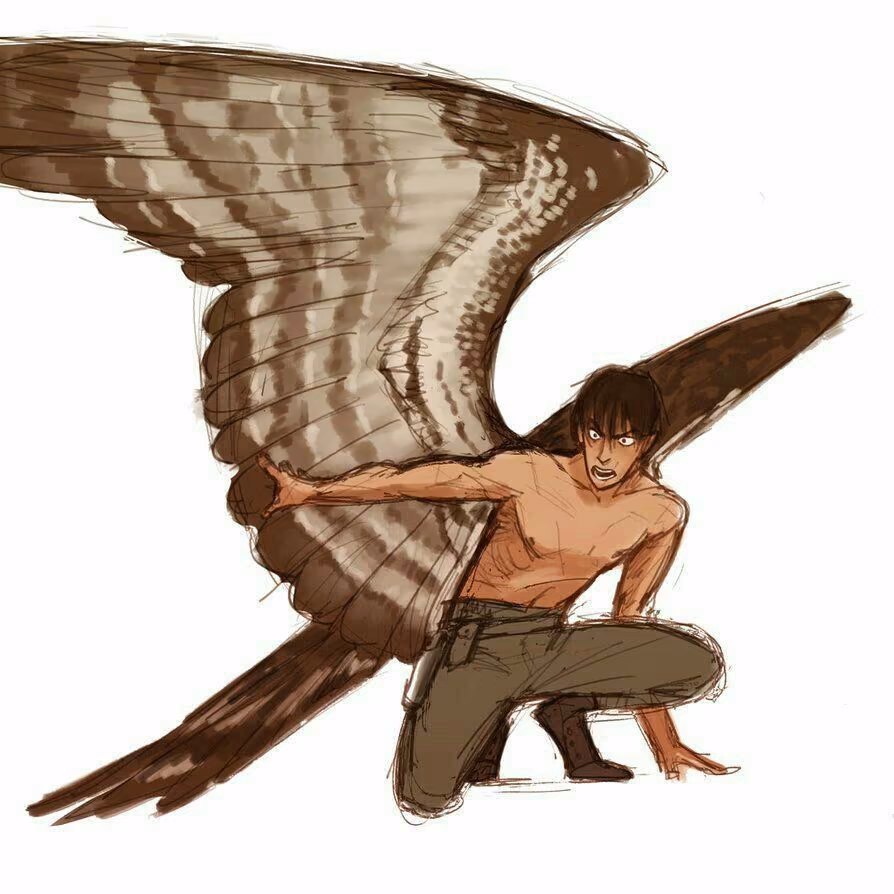 5dcd9b0a5376e1b9bd834eeffaee45ce.avif