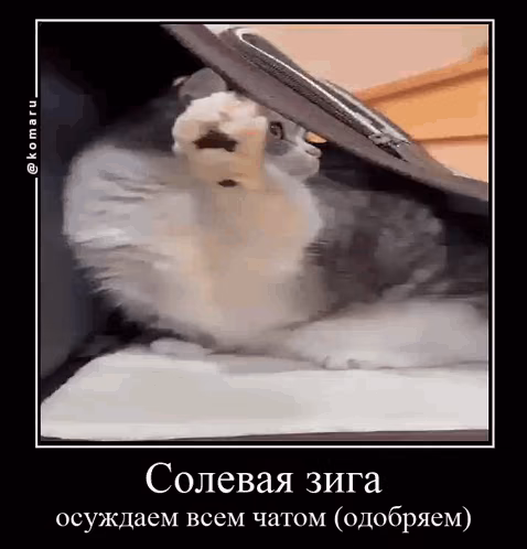 5de85b8bbef827c9a4d0469c35400db0.jpg