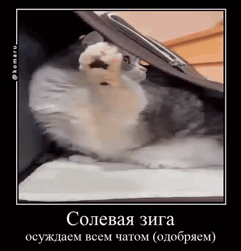 5de85b8bbef827c9a4d0469c35400db0.jpg
