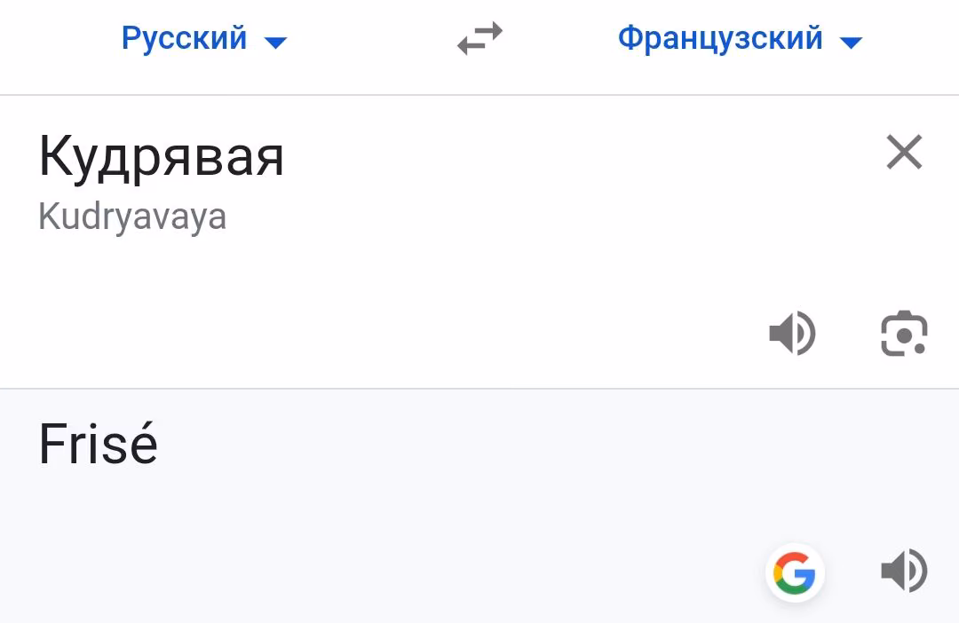 5df2fee3dde2e3d56f271bd639929c71.jpg