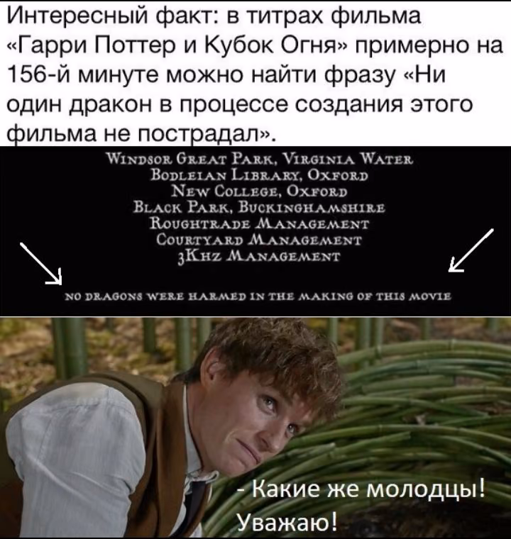 5df4a3c6f0c68f208f41cdf8f990b441.avif