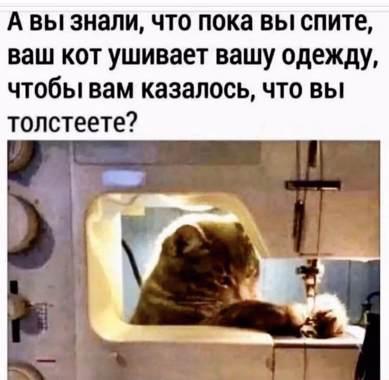 5e031ba734841a2d45003e513c3972de.jpg