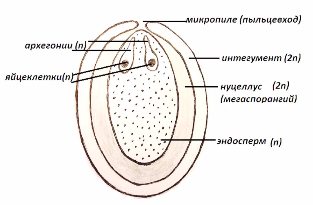 5e05af824d50795d45731e30aa9e8b7f.jpg