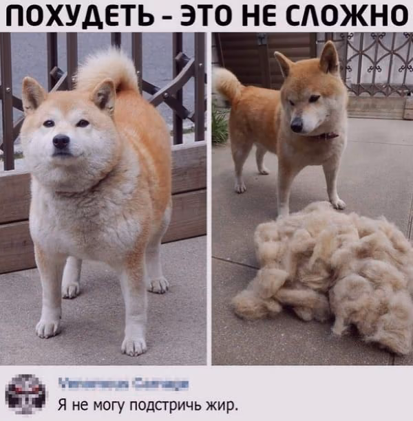 5e0cbe3c90de3d4d3d2f03c0a0b1bc3f.avif