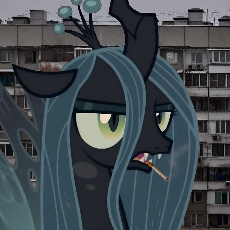 5e287339623a7b1f756837cf946d60cb.jpg