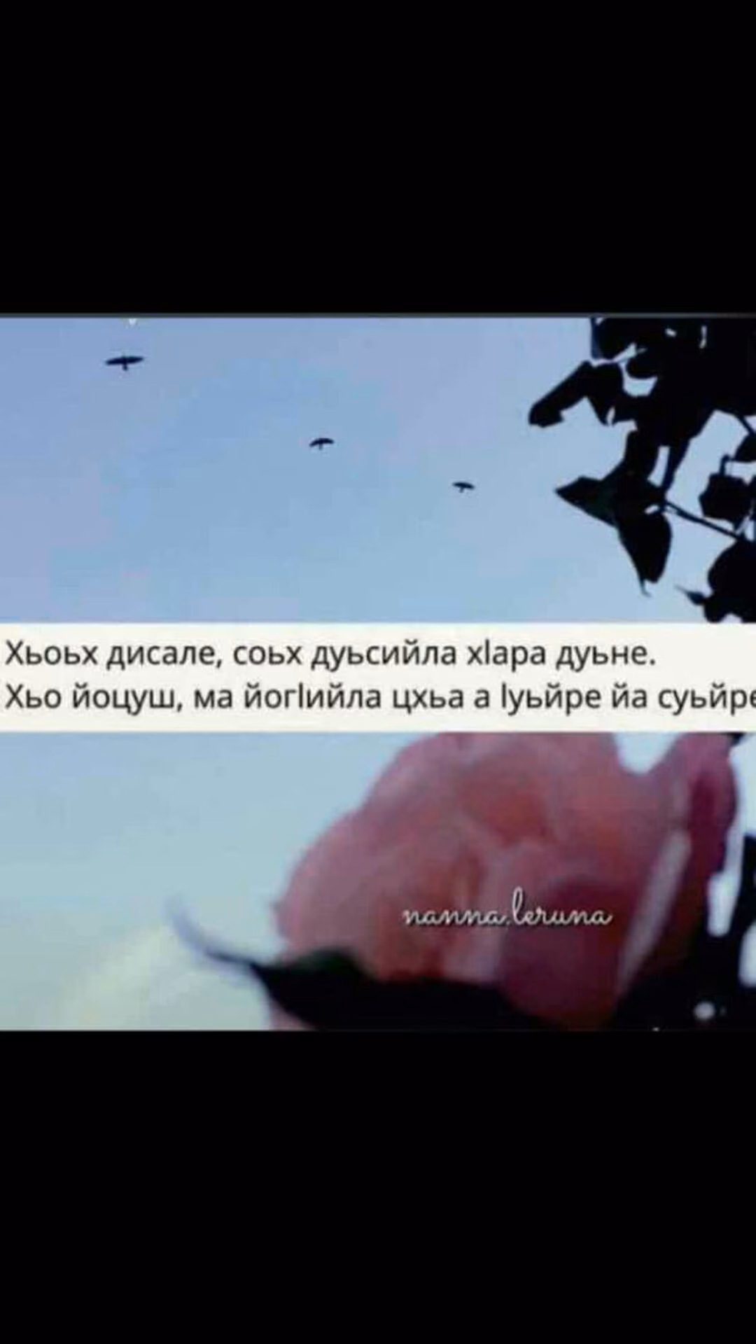 5e298a5459fb160b7d5b1ad1393c82f2.jpg