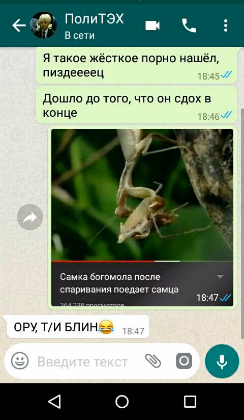 5e2cf570c860468c1b0cb79eeae9e686.avif
