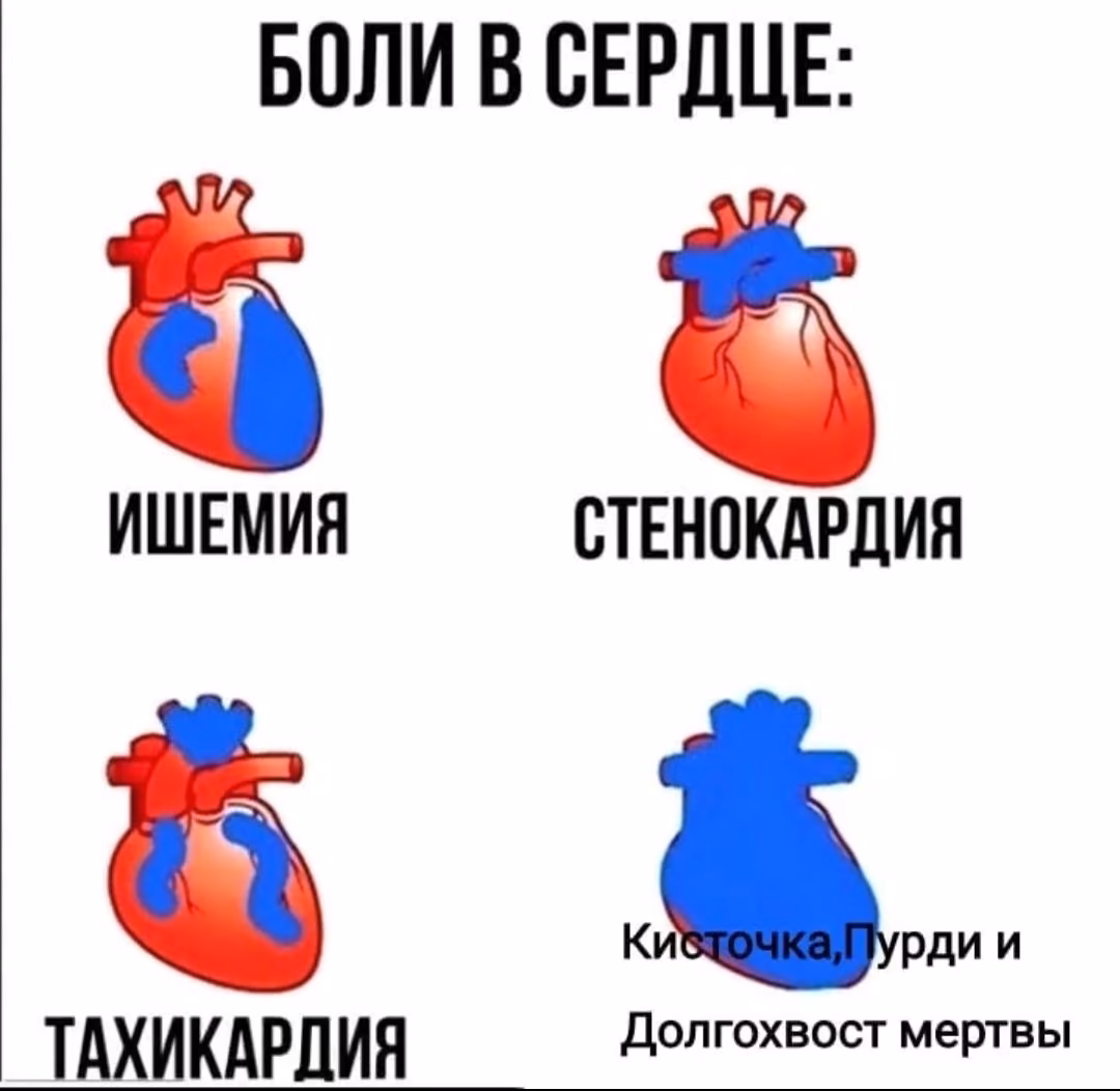 5e2f91f5f61ed5d208e999f01079401b.avif