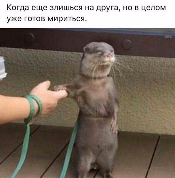 5e3f23ce84e98dbe21674106e55c2735.avif