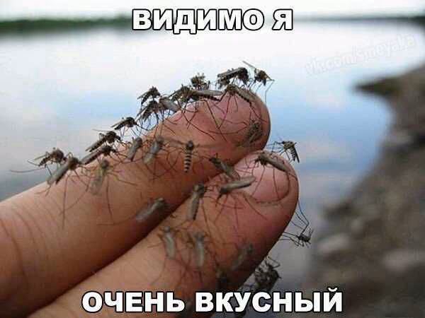 5e5ee96ba4708ce6c29965fe0231cd0f.avif