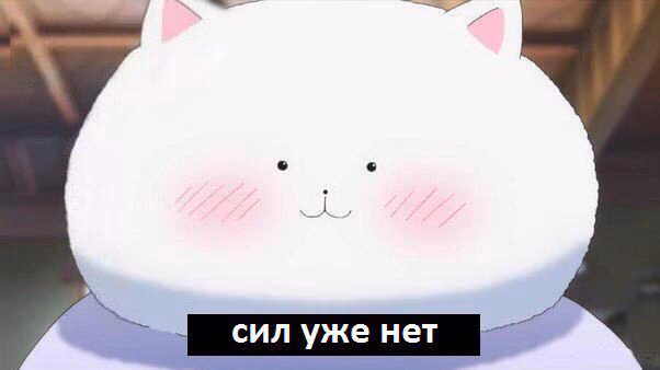 5e63298ca934ba9fe06660a1e9ac4e0a.avif