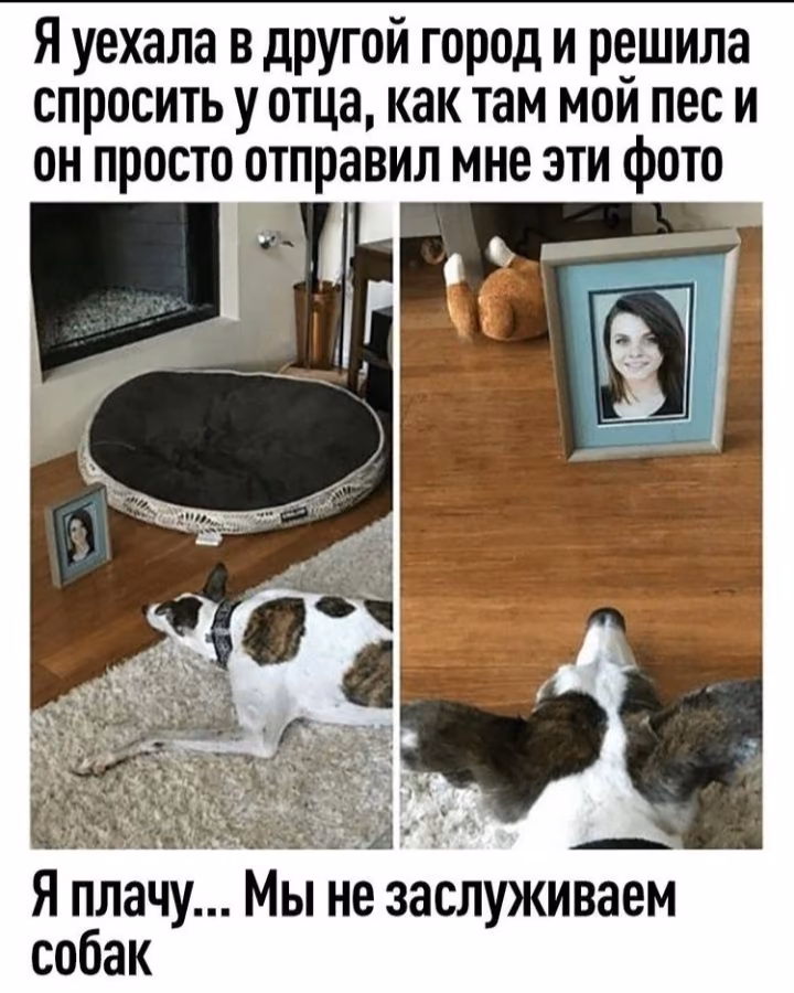 5e65af733d8bad89825093ee3d0996a4.avif