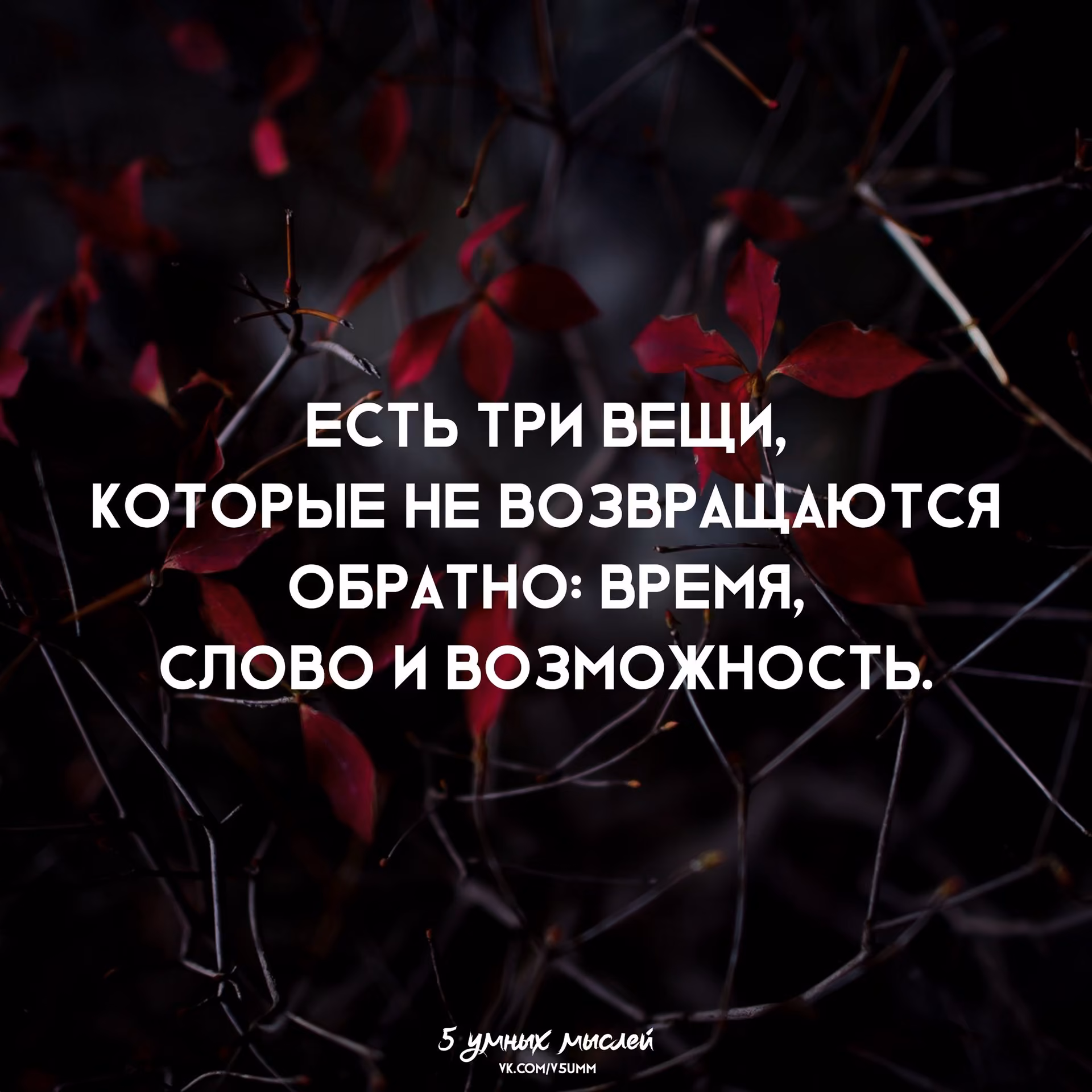 5e6ab2eae57f2be58ad4f8787bfa9eff.jpg