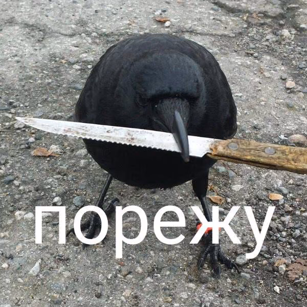 5e6f84f95de4d907a152814a9bef1376.avif