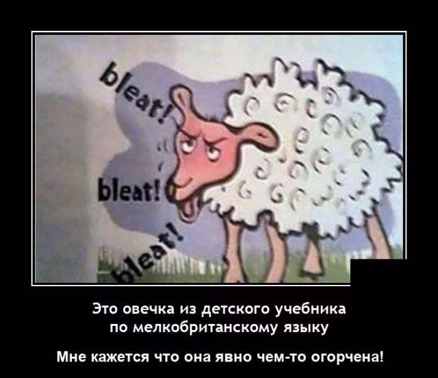 5e704dfddd2d4a8551dad29b4a41c371.avif