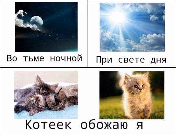 5e789f638584ba1b057f6dbde404467b.jpg