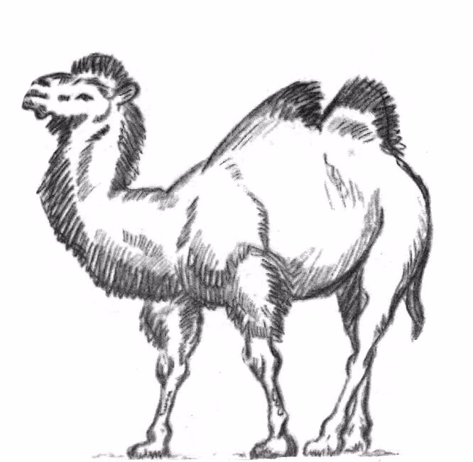 5e8c42c4459f3c88a4472597f6fdfb8e.jpg