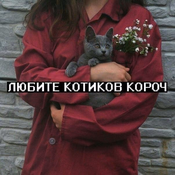 5e9491ec2b7cb861016363094ddda9e5.jpg