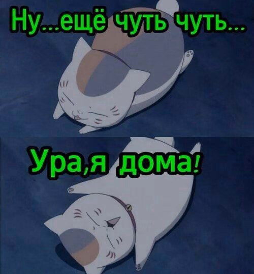 5e94d98be7855ff6891cf69d99a39461.jpg