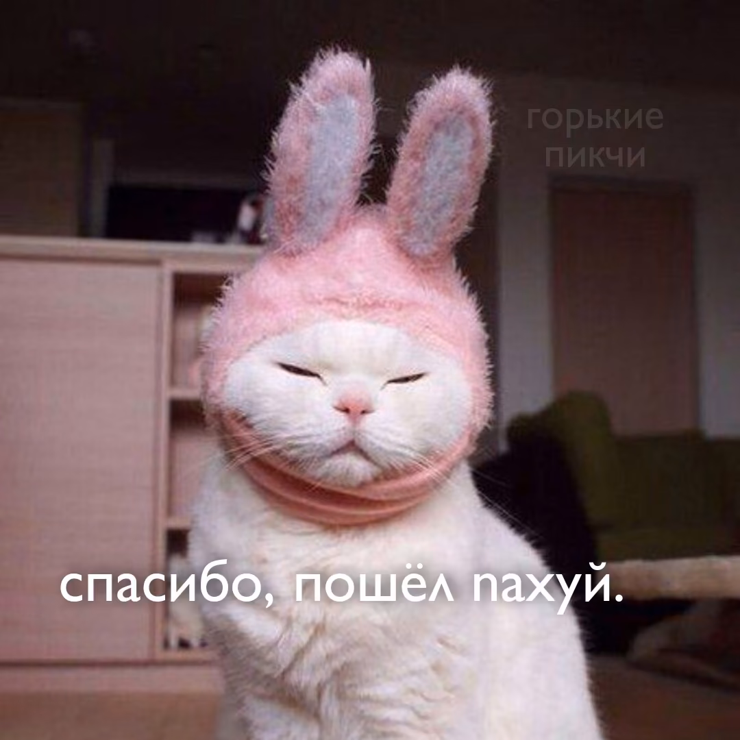 5e9cc7c2ebb5986e0b66214ffd7066af.jpg