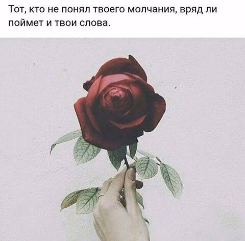 5eba0bc89a66d52b05c4503f7998af1d.jpg