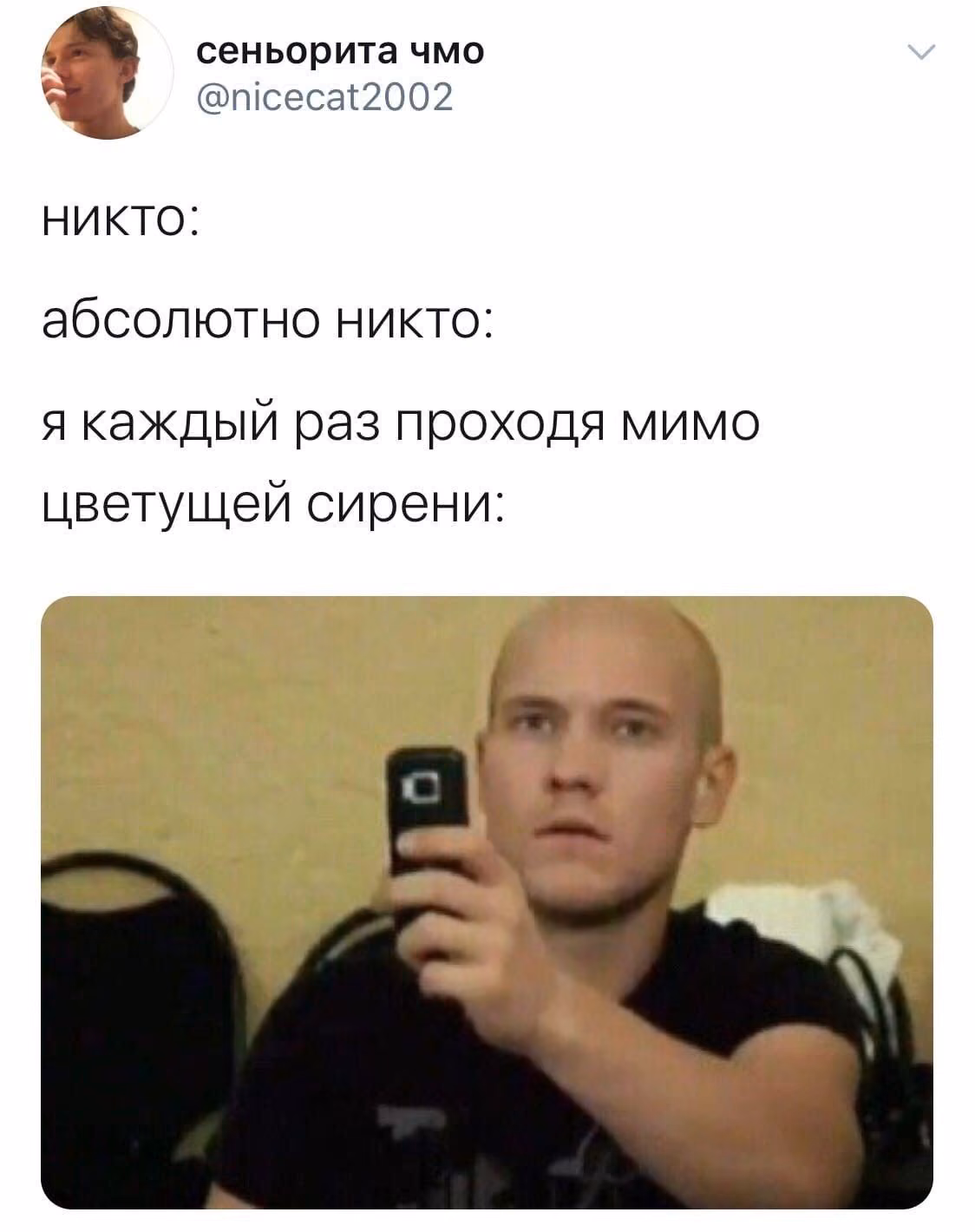 5ebe1d59f45f65489bd1f91186222118.jpg