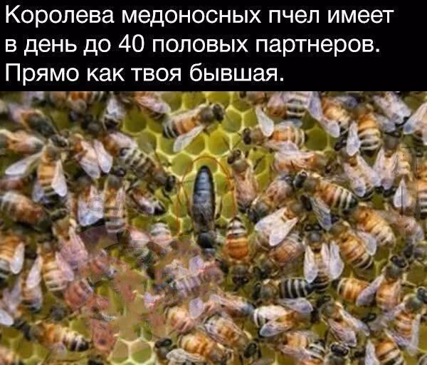 5ec2910173a065e1477c7fa9e09bb9c7.jpg