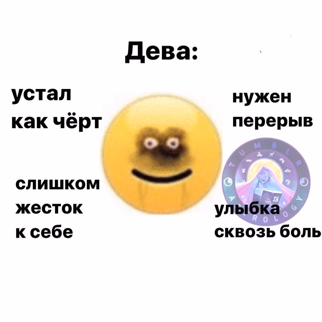 5ecf3c7737bdeab3f284d96f049c1c14.avif