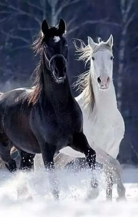 5ed8d9aca17c3e4a68b1c325aa303cc4.avif