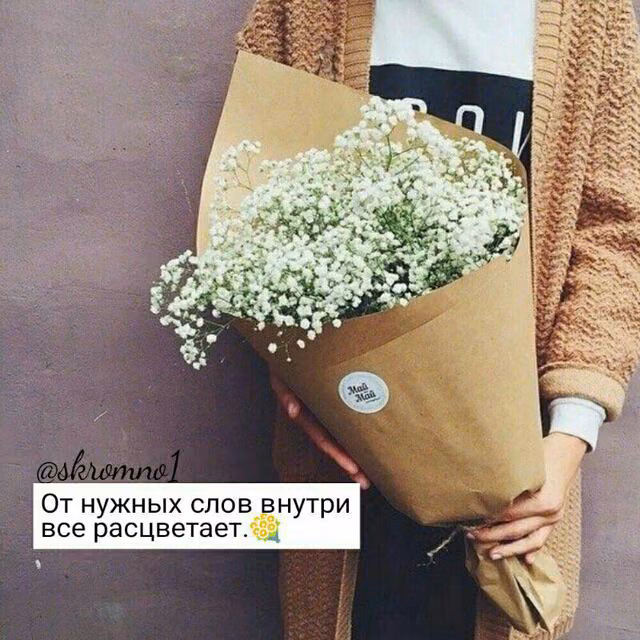 5ee0f26bb911c655bec9021a1a1b3873.jpg