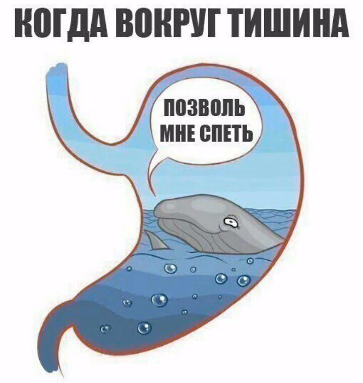 5ee5b0aedb46839895368daa59567019.avif