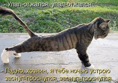 5ee5d2b8f19144e30d33efdd8cdfc338.avif