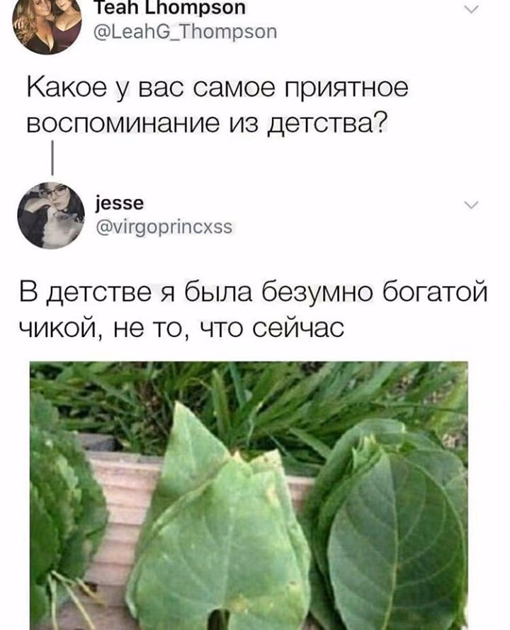 5eec03a0043bdc8dada74f7429cedf42.avif