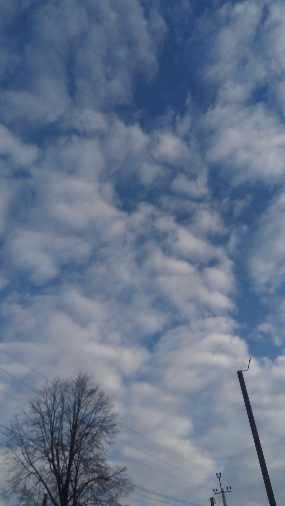 5efc04cda19100188634f0a0acd0e6a9.jpg
