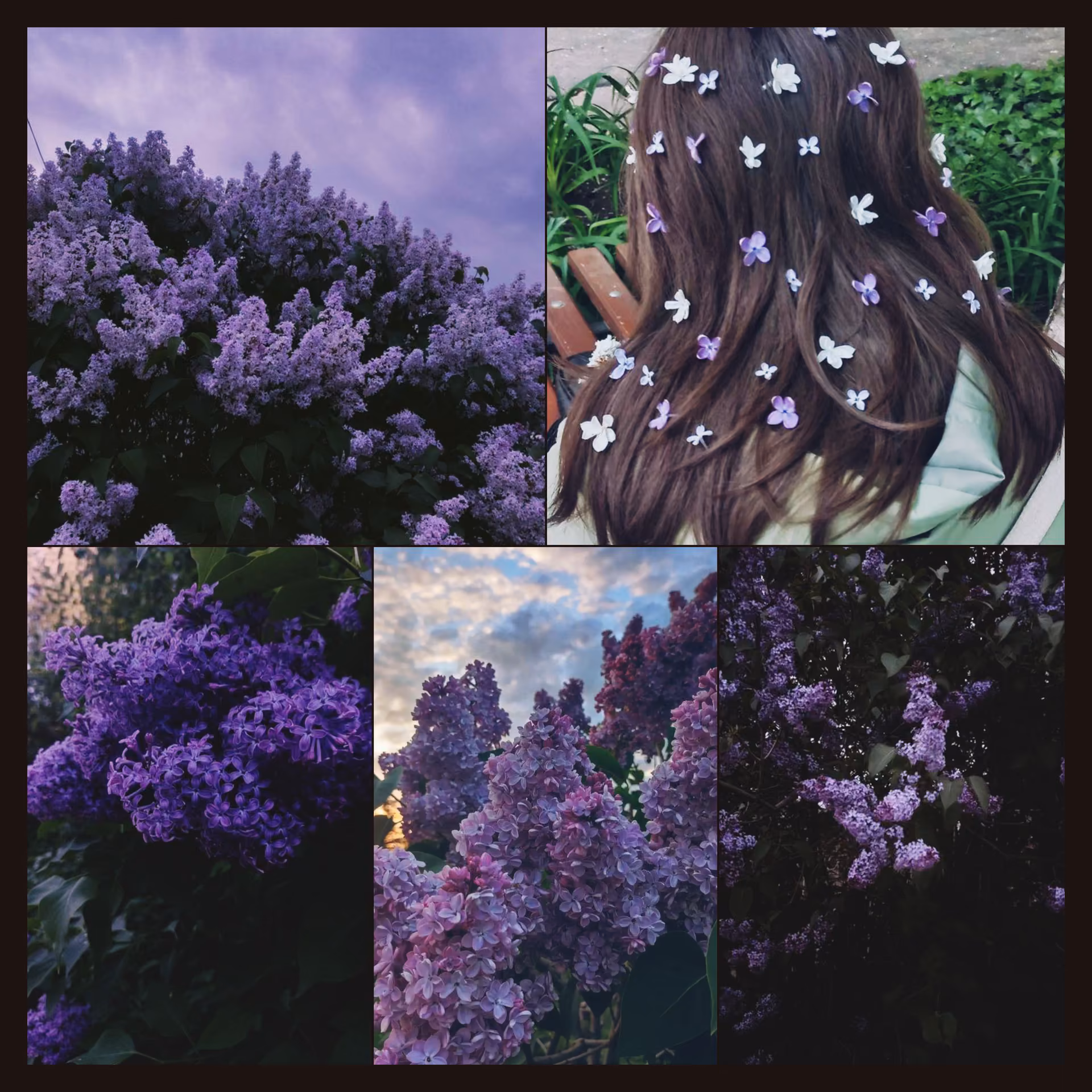 5f0d8fc1f932c7c33b9255c681d4a17d.avif