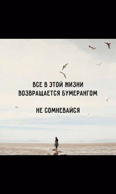 a26d93a4bd8bad9674b34af794d5cb39.jpg