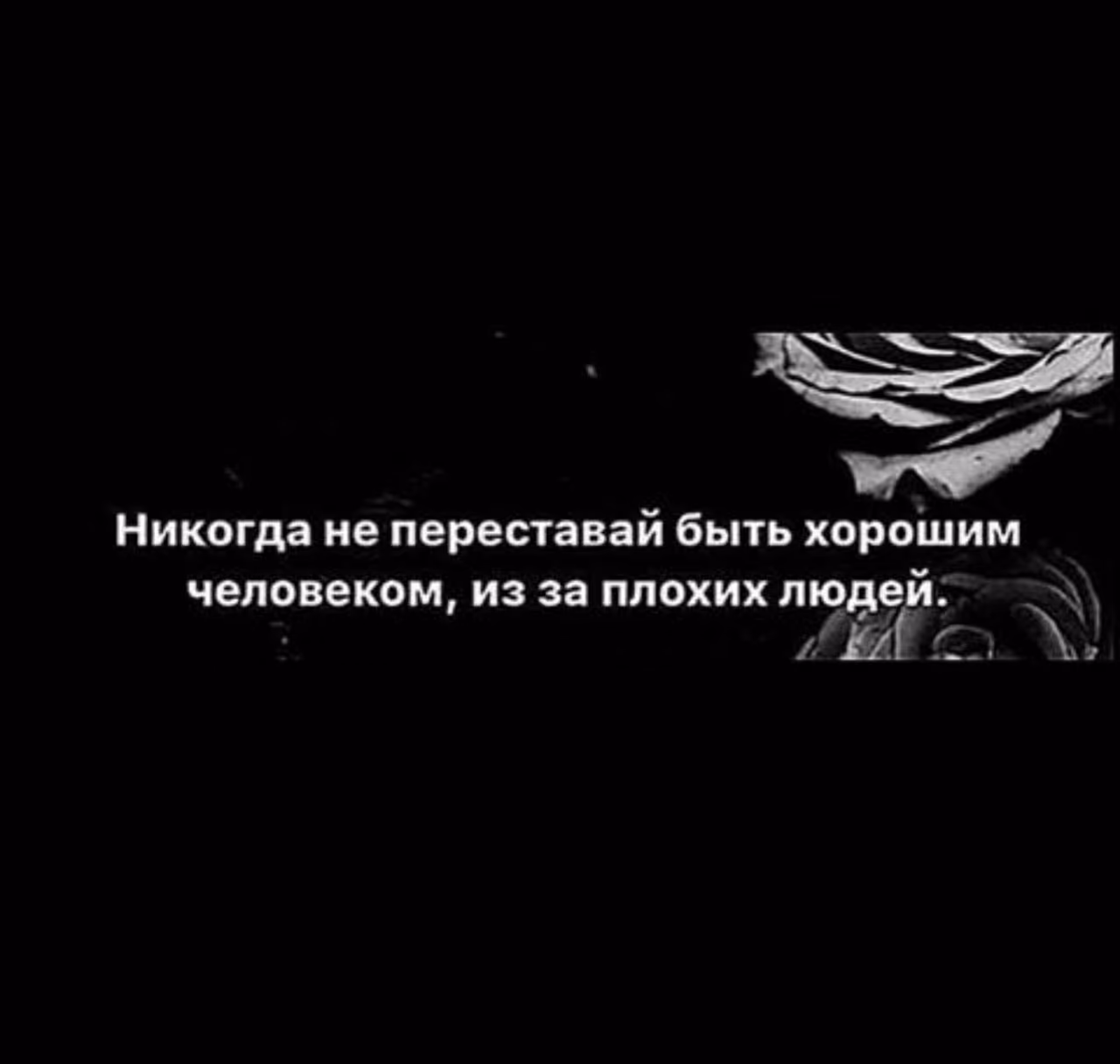 5f1bd09b8f3b954d65c66a9dbcc850e3.jpg