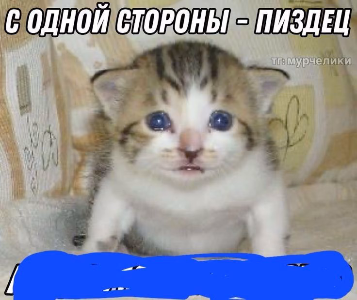 5f4deb670bb4cce0d20998a109a313e9.jpg