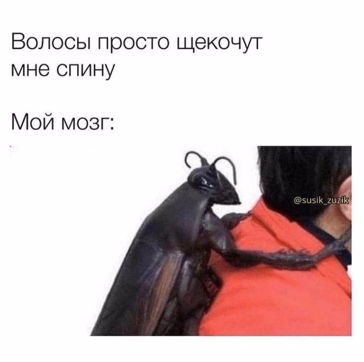 5f4f13efc911134fc95f0b1f6a119998.jpg