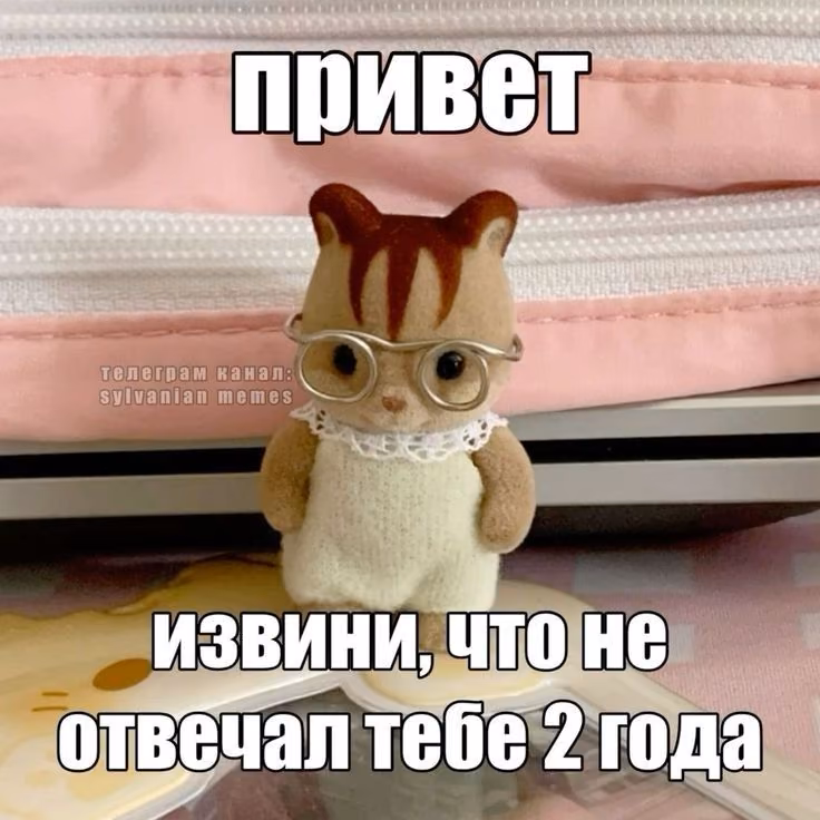 5f56005e7e232a5b721637df418a405d.jpg