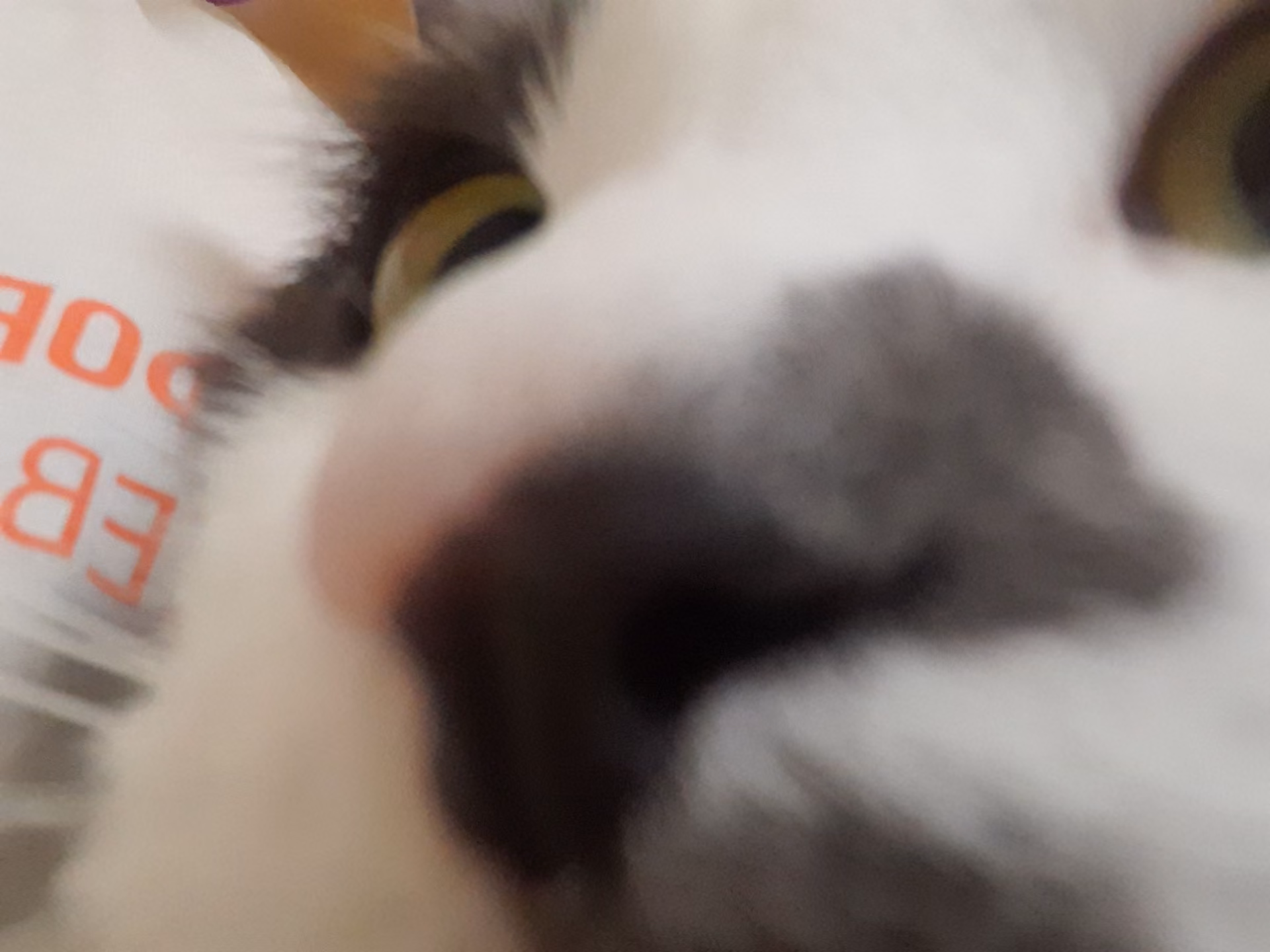 5f5fe4055779e1c0e3f5fd7a06c85e01.avif